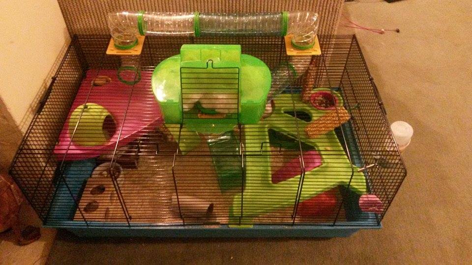 hamster heaven metro cage